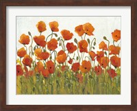 Framed Rows of Poppies I