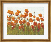 Framed Rows of Poppies II