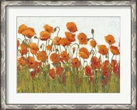 Framed Rows of Poppies II