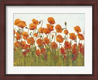 Framed Rows of Poppies II