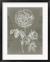 Floral Relief I Framed Print