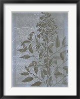 Fleur de Bleu I Framed Print