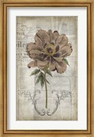 Framed French Floral II