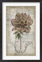 Framed French Floral II