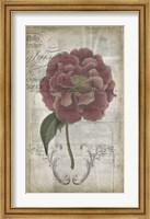 Framed French Floral III
