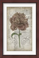 Framed French Floral IV