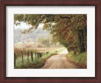 Framed Autumn on a Country Road
