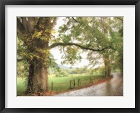 Framed Wet Path