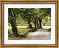 Framed Path in the Country