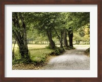 Framed Path in the Country