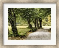 Framed Path in the Country