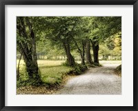 Framed Path in the Country