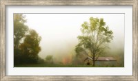 Framed Fog at the Farm