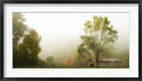 Framed Fog at the Farm