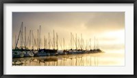 Framed Marina Morning I