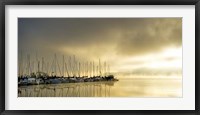 Framed Marina Morning II