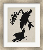 Framed Audubon Silhouette III