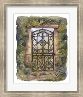 Framed Iron Gate III