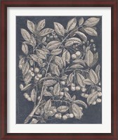 Framed Vintage Fruit & Floral III