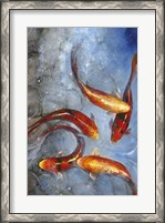 Framed Graceful Koi I