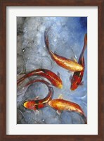 Framed Graceful Koi I