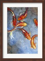 Framed Graceful Koi II