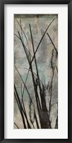 Wild Grasses I Framed Print