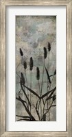 Framed Wild Grasses II