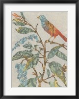 Framed Aviary Collage II