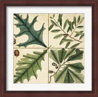 Framed Catesby Leaf Quadrant III
