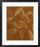 Framed Modern Botany VI