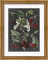 Framed Orchard Varieties I