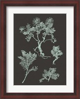 Framed Mint & Charcoal Nature Study II
