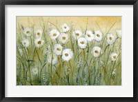 Framed Daisy Spring I