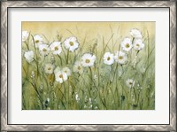 Framed Daisy Spring II