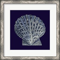 Framed Indigo Shells VIII