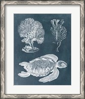 Framed Azure Sea Turtle Study I