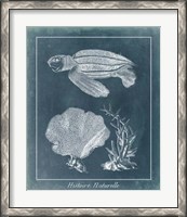 Framed Azure Sea Turtle Study II