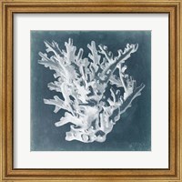 Framed Azure Coral I