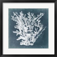 Framed Azure Coral I
