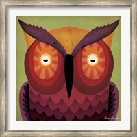 Framed Owl WOW