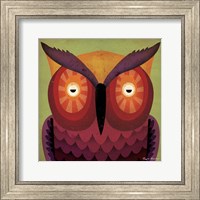 Framed Owl WOW