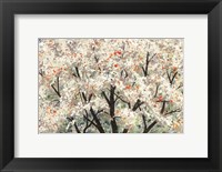 Framed Pear Blossoms in Spring