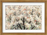 Framed Pear Blossoms in Spring