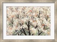 Framed Pear Blossoms in Spring