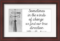 Framed Sometimes In The Winds Of Change