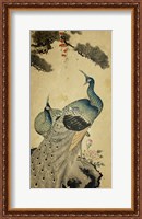 Framed Korean Peacocks