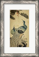 Framed Korean Peacocks