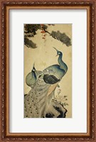 Framed Korean Peacocks