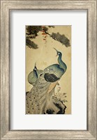 Framed Korean Peacocks